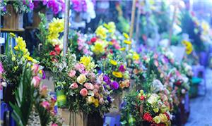 Chợ hoa đêm ở  Hà Nội